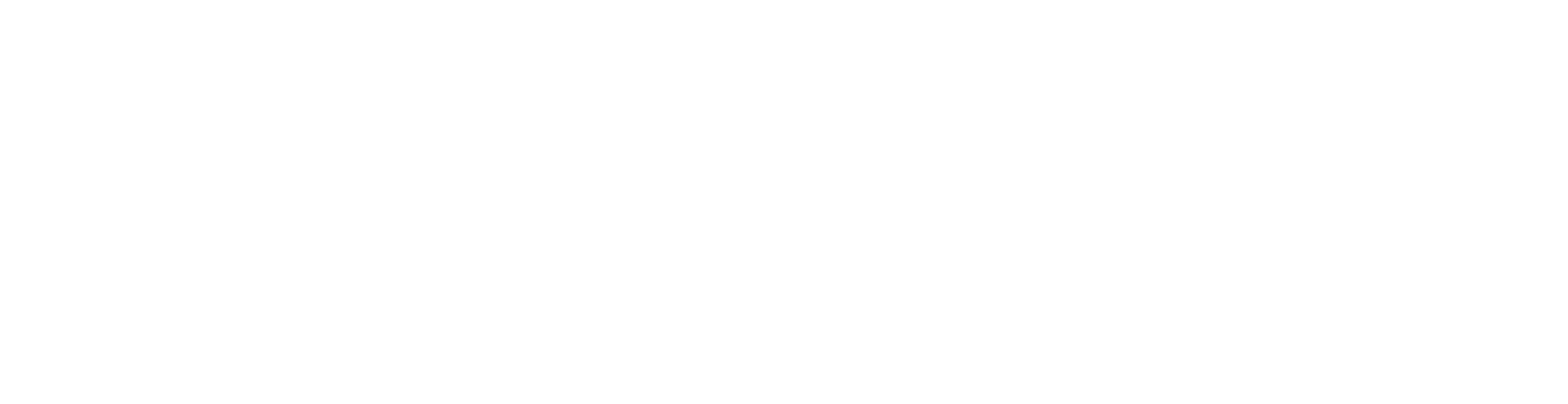 SKYHAWKS EAST BAY NORTH Logo - White